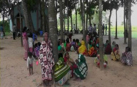 সাঁওতালদের রোপণ করা ধান কাটার নির্দেশ হাইকোর্টের 