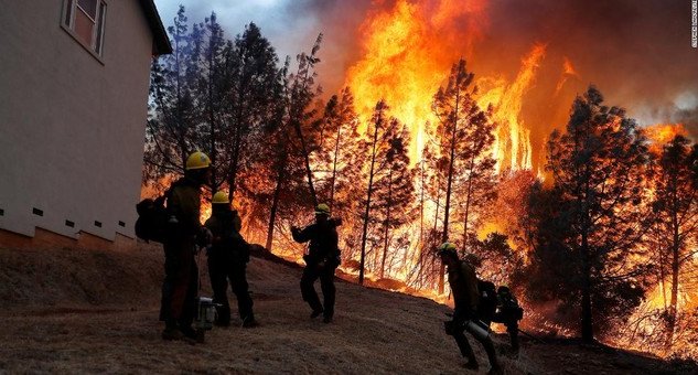 অগ্নি নির্বাপনের চেষ্টায় ফায়ার ফাইটাররা কাজ করছেন
