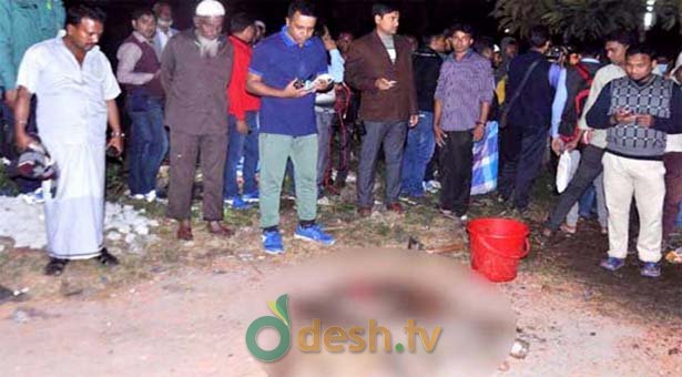 বরিশালে ডাস্টবিনে ৩১টি মানব ভ্রূণ উদ্ধার