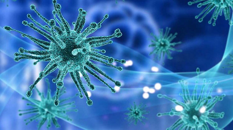 বাংলাদেশে করোনা ভাইরাসের প্রাদুর্ভাব