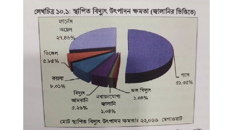 ডিজেল থেকে ৫.৮৫ শতাংশ বিদ্যুৎ উৎপাদন হয়। ছবি: অর্থনৈতিক সমীক্ষা ২০২২